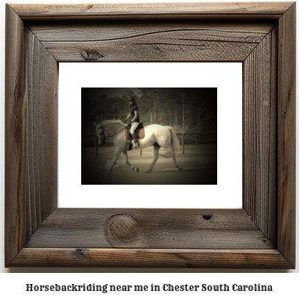 horseback riding near me in Chester, South Carolina